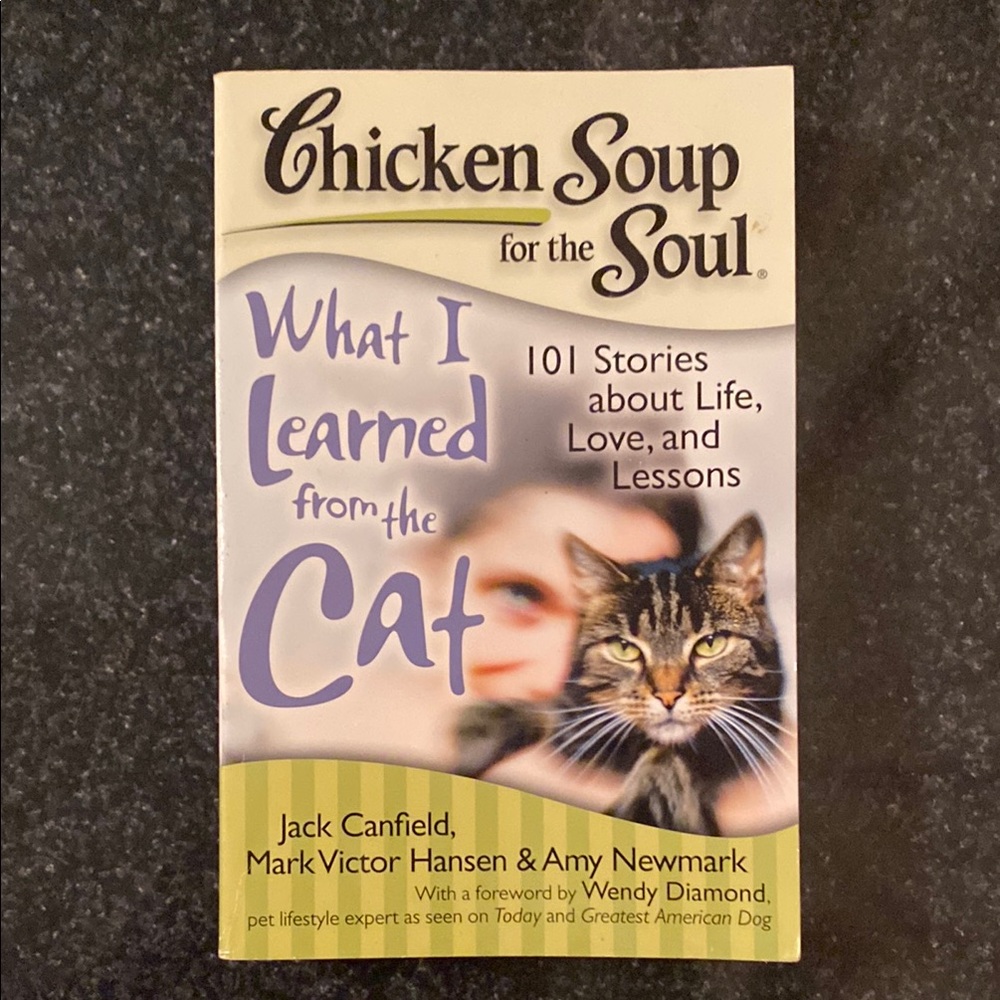 What I Learned from the Cat Chicken Soup for the Soul
